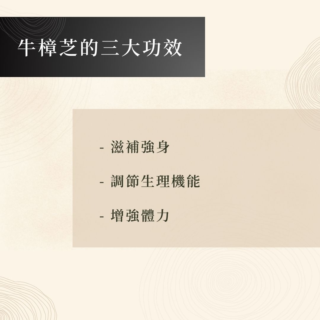 牛樟芝功效