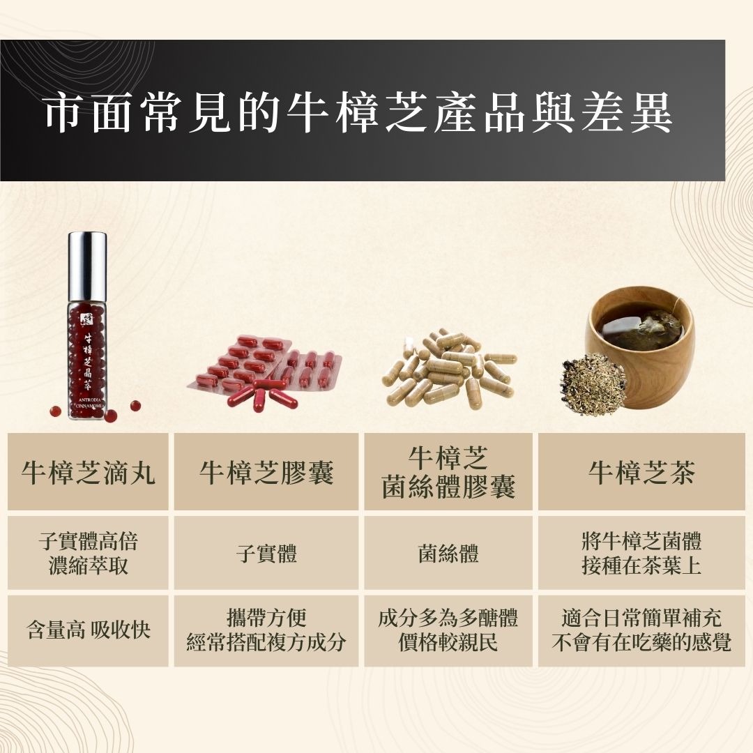 牛樟芝產品差異比較