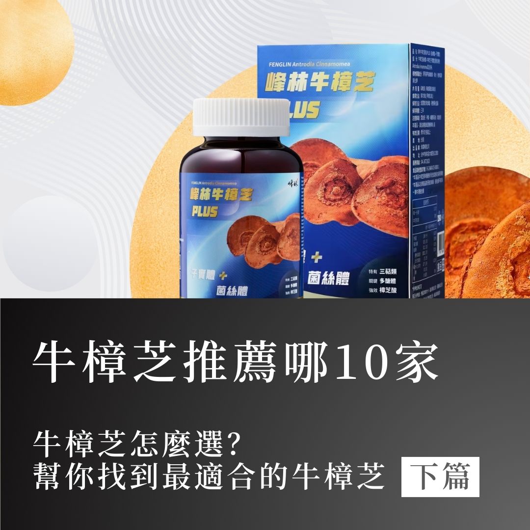 牛樟芝推薦哪 10 家！牛樟芝怎麼選？幫你找到最適合的牛樟芝（下）